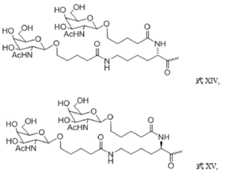 Figure 0007101748000008