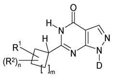 Figure 112013003750924-pct00002
