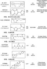 Figure A20068004619500601