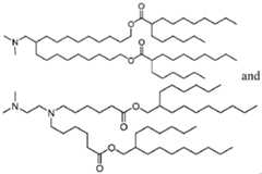 Figure imgf000123_0002