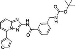 Figure GPA00001035513100852