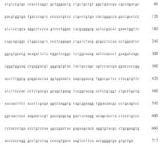 Figure 108123466-A0305-02-0364-220