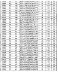 Figure BPA00001388922800511