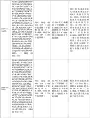 Figure BDA0002939076220001921