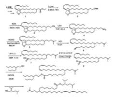 Figure 2022508511000122