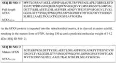 Figure imgf000138_0001