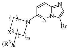 Figure 112010081398093-pct00011