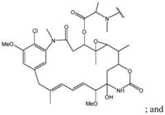 Figure imgf000113_0001