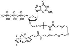 Figure imgf000234_0001