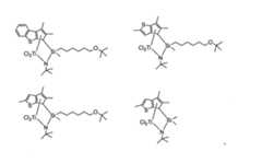 Figure 2022507058000031