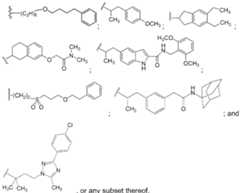 Figure imgf000026_0003