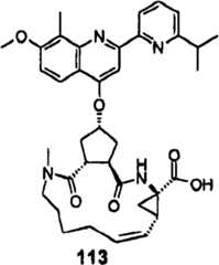 Figure BSA00000676350901061