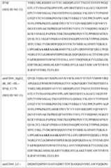 Figure imgf000074_0001