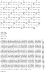 Figure IDA00002091897103261