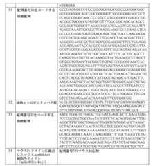 Figure 0007146850000016