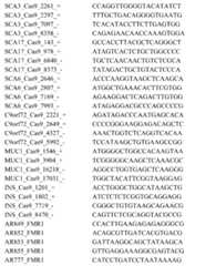 Figure 0007365363000007