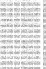 Figure IDA0002536600790001291