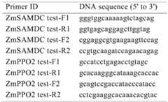 Figure PCTCN2022090268-appb-000168