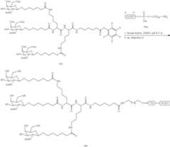 Figure US10683499-20200616-C00212