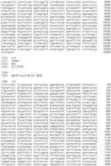 Figure IDA0002536600790000911