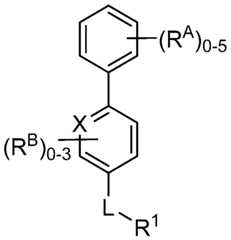 Figure imgf000009_0003