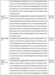 Figure imgf000243_0001