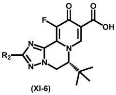 Figure BDA0003141290410001062