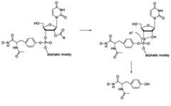 Figure imgf000143_0001