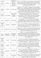 Figure PCTCN2022090268-appb-000008