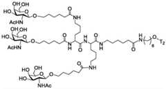 Figure BDA0003357312860002191