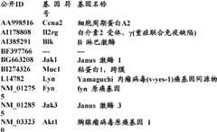 Figure BDA0000057170160002182