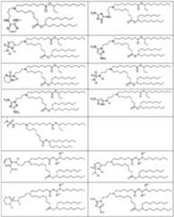 Figure imgf000244_0001