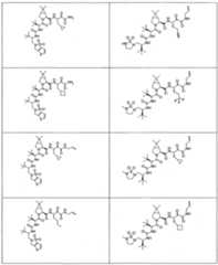 Figure imgf000261_0001