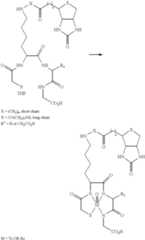 Figure US06217869-20010417-C00008