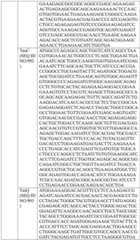 Figure BDA0004033970230004971