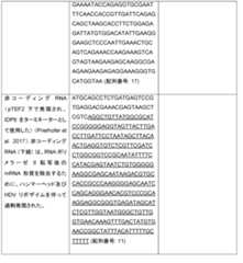 Figure 2024506650000018