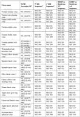 Figure imgf000089_0001