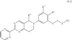 Figure US11447489-20220920-C00078