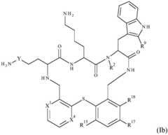 Figure BDA0001640213710000171