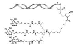 Figure 105140410-A0305-02-0041-10