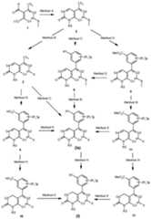 Figure imgf000090_0001