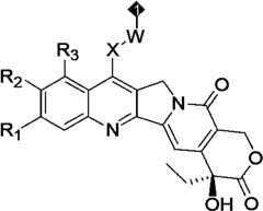 Figure PCTCN2022073822-appb-000436