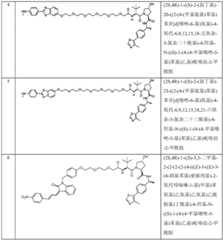 Figure BDA0003027048450003591