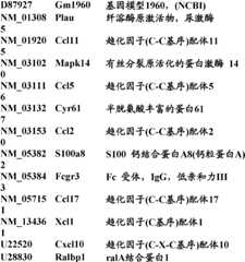 Figure BDA0000057170160002011