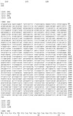 Figure IDA00002091897102821