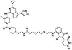 Figure BDA0002964098100001931