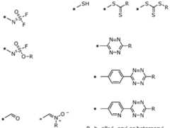 Figure imgf000099_0004