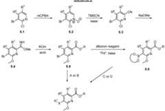 Figure imgf000045_0001