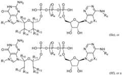 Figure imgf000136_0002