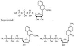 Figure imgf000213_0003